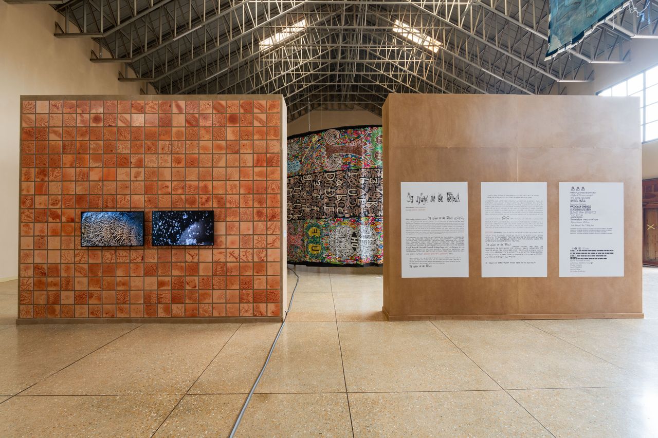 Installation view of the exhibition at the SCCA