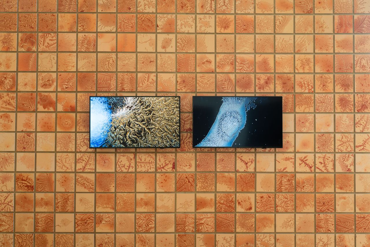 Installation view of the exhibition at the SCCA